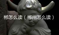 郴怎么讀（郴州怎么讀）