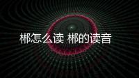 郴怎么讀 郴的讀音