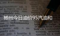 郴州今日油價95汽油和郴州今日油價調整最新消息的詳細介紹