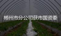 郴州市分公司獲市國資委先進基層黨組織