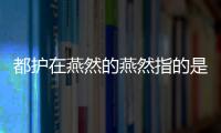 都護在燕然的燕然指的是哪（都護在燕然）