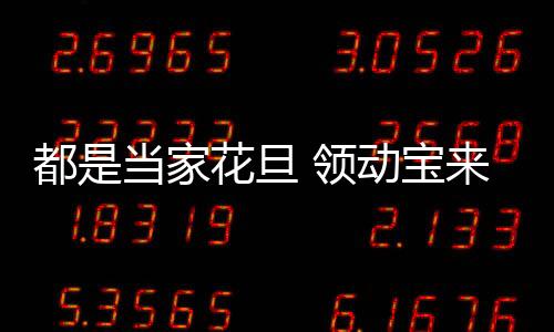 都是當家花旦 領動寶來軒逸該選擇誰