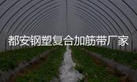 都安鋼塑復(fù)合加筋帶廠家采購供應(yīng)