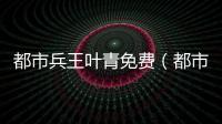 都市兵王葉青免費（都市兵王葉青）