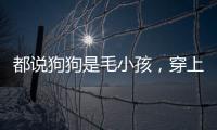 都說狗狗是毛小孩，穿上睡衣的狗狗簡直亮瞎我的雙眼