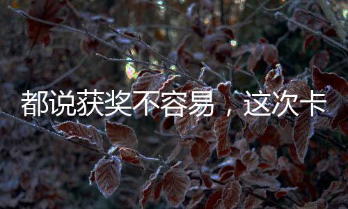 都說獲獎不容易，這次卡薩帝廚電竟1次拿4個大獎，憑什么？