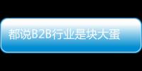 都說B2B行業(yè)是塊大蛋糕 但你能吃嘴里嗎？