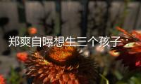 鄭爽自曝想生三個孩子：能生龍鳳胎是最好的
