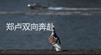 鄭盧雙向奔赴 從民相親到心相通 