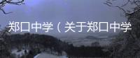 鄭口中學（關于鄭口中學的基本情況說明介紹）