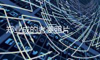 鄭業(yè)成的老婆照片   鄭業(yè)成與趙露思拍戲有很多曖昧照