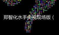 鄭智化水手央視現(xiàn)場(chǎng)版（鄭智化 水手）