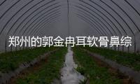 鄭州的郭金冉耳軟骨鼻綜合做的怎么樣?審美好,實例風格偏自然