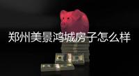 鄭州美景鴻城房子怎么樣（鄭州美景鴻城二手房）