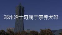 鄭州哈士奇屬于禁養犬嗎(鄭州哈士奇價格)
