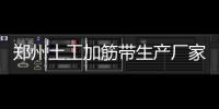 鄭州土工加筋帶生產廠家