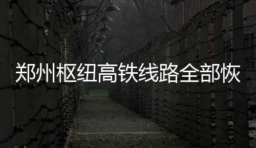 鄭州樞紐高鐵線路全部恢復運行