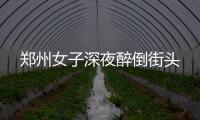 鄭州女子深夜醉倒街頭