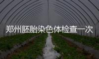 鄭州胚胎染色體檢查一次費(fèi)用詳解，先看看哪個(gè)醫(yī)院好