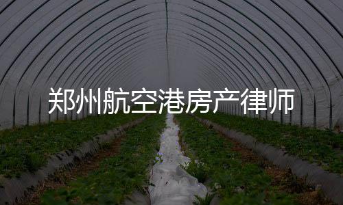 鄭州航空港房產律師