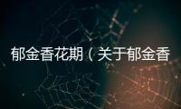 郁金香花期（關(guān)于郁金香花期的基本情況說明介紹）