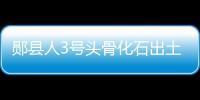 鄖縣人3號頭骨化石出土 實(shí)證我國百萬年人類史