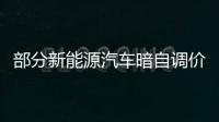 部分新能源汽車暗自調價 漲字背后是什么？