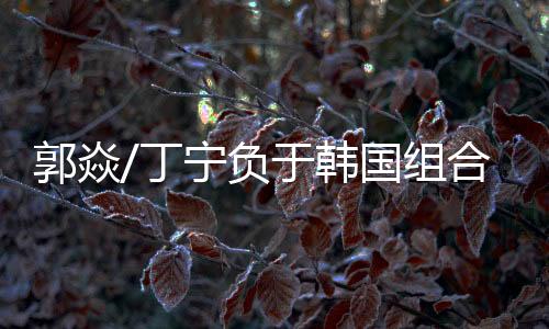 郭焱/丁寧負于韓國組合 中國男雙四強占據三席