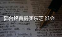 郭臺銘首提買東芝 誰會是鴻海的＂新蘋果＂？