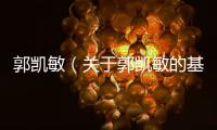 郭凱敏（關于郭凱敏的基本情況說明介紹）