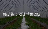 郭明錤：預計蘋果2023年不會推出新款iPad