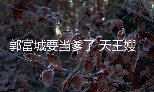 郭富城要當爹了 天王嫂方媛被爆9月生產