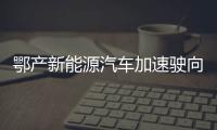 鄂產新能源汽車加速駛向海外 嵐圖品牌在丹麥正式發布