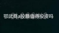 鄂武商a股票值得投資嗎（鄂武商a）