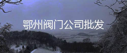 鄂州閥門公司批發