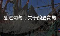 釀酒葡萄（關于釀酒葡萄的基本情況說明介紹）