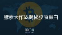 酵素大作戰揭秘膠原蛋白的奇妙功效