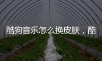 酷狗音樂怎么換皮膚，酷狗音樂該怎樣換皮膚