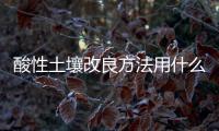 酸性土壤改良方法用什么肥（酸性土）