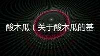 酸木瓜（關(guān)于酸木瓜的基本情況說明介紹）