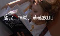 酸民、掉粉、草莓族??這10個超夯的網路用語你聽過嗎？