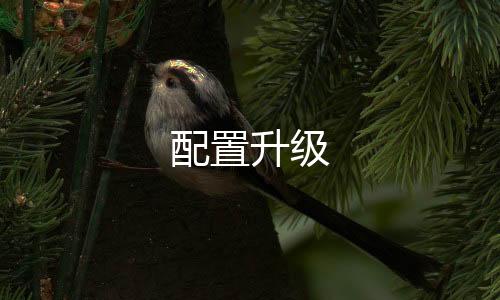 配置升級(jí)