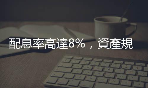 配息率高達(dá)8%，資產(chǎn)規(guī)模勝0050　這檔基金有哪些風(fēng)險要注意｜天下雜誌