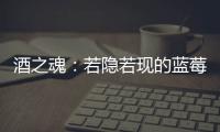 酒之魂：若隱若現(xiàn)的藍(lán)莓味