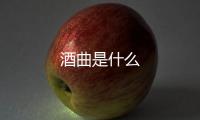 酒曲是什么
