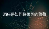 酒莊是如何將果園的葡萄變為眼前的美酒？