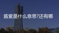 醬紫是什么意思?還有哪些類似醬紫的網絡語(帶指這樣子)