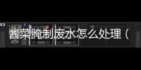 醬菜腌制廢水怎么處理（醬腌菜的污水如何處理）