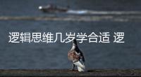 邏輯思維幾歲學(xué)合適 邏輯思維幾歲發(fā)育