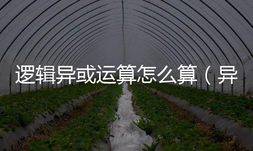 邏輯異或運算怎么算（異或運算怎么算）